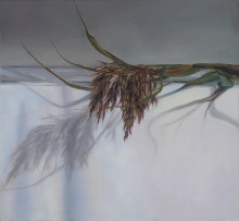 Foto: © Maike Prause, Still-(a)lives
