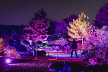 Foto: Stiftung Schloss Dyck