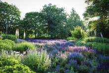 Foto: Swedish Gardens
