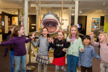 Foto: Uwe Schaffmeister/Landeshauptstadt Düsseldorf