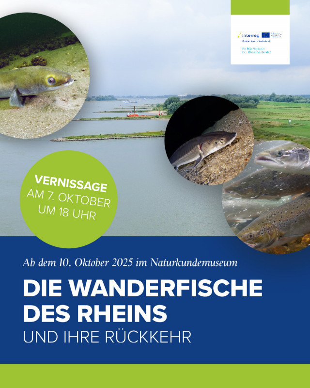 Foto: Stiftung Schloss und Park Benrath